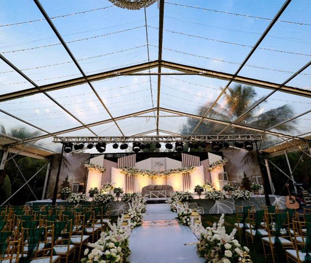 Dolphin Events and wedding planner