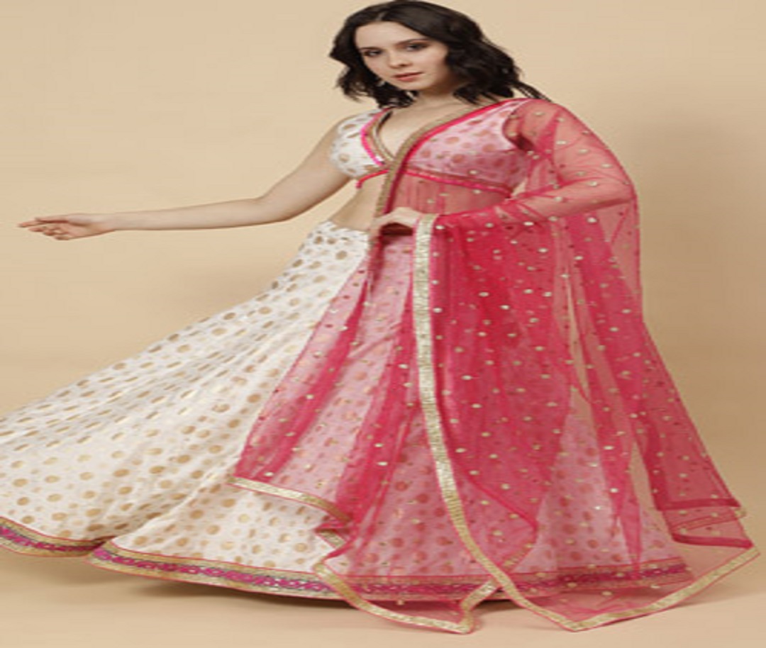 Meenal's Indian Fashions